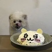 ぱん