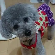 くみ