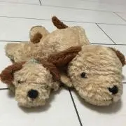 よにちゃん！の画像