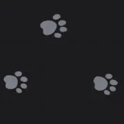 はくの画像