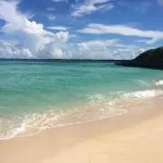 Satomiの画像