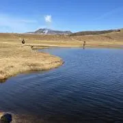 も