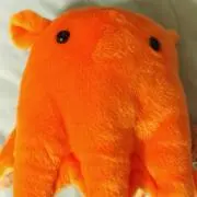 ババロアの画像