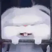 蒼❃プロフ必読☺︎の画像
