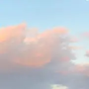 ささの画像