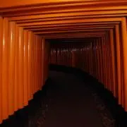 いっくーの画像