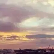 みるきーの画像