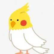 ぼんの画像