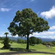 ちぃ姉