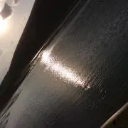 YNYの画像