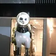 くま