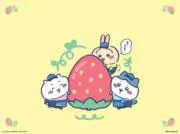 Milk（プロフ必読!!）グッズ断捨離中の画像