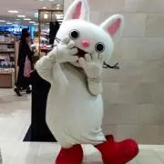 ※プロフィール確認ください※みかん