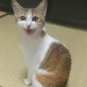不二子