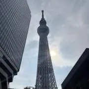 mtの画像