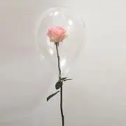 ぴう