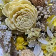 引っ越しのため大量出品中の画像