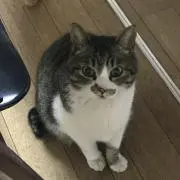 満里奈