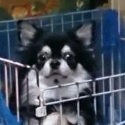まー