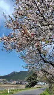 mikiの画像