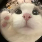 min___zの画像