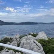 HIMAWARIの画像