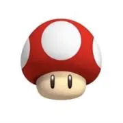 きのこの画像