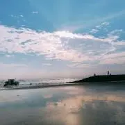 やまゆの画像