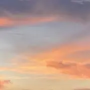 nacの画像
