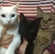 ヒロユミママ