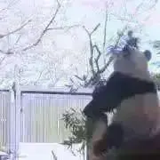 lu.の画像