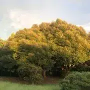HIROの画像