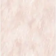 uniの画像