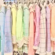 ぷるの画像