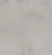 にのせの画像