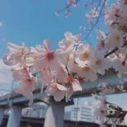 えっちゃん