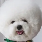 フルーツポンチの画像