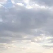 あり