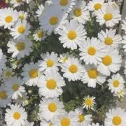 a18324の画像