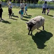 Ke_Kaaaの画像