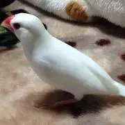 R☆プロフ必読！即購入おk