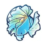 sakanaの画像