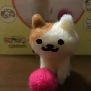Rinoの画像