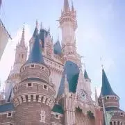 M : プロフ必読の画像