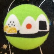 ポッカの画像