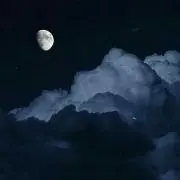 ささらぎの画像
