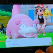 ひもねくぜっとの画像