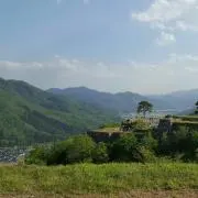 aoの画像