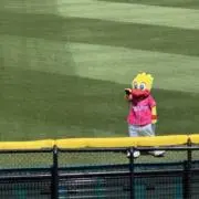 Rの画像