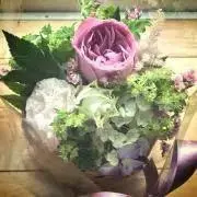 cocoの画像